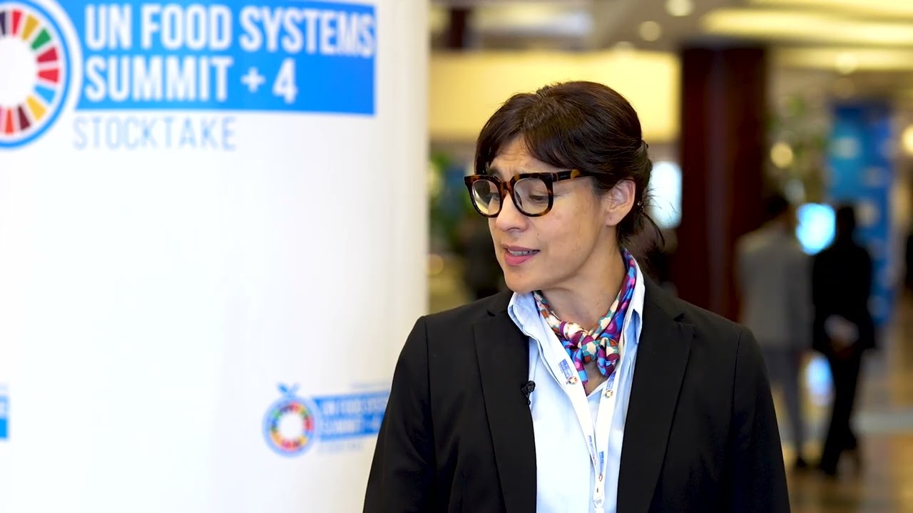 UNFSS+4 Member State Statement: Chile