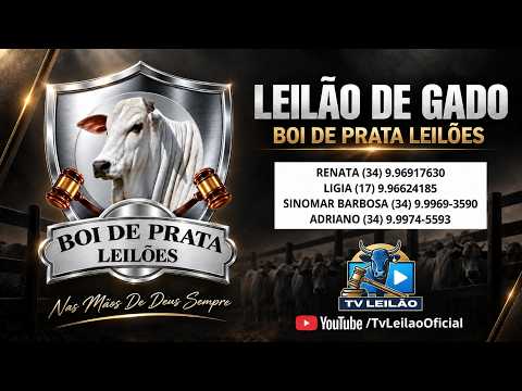 15/09/2026 - BOI DE PRATA LEILÕES AO VIVO em ITURAMA/MG | LEILÃO DE GADO