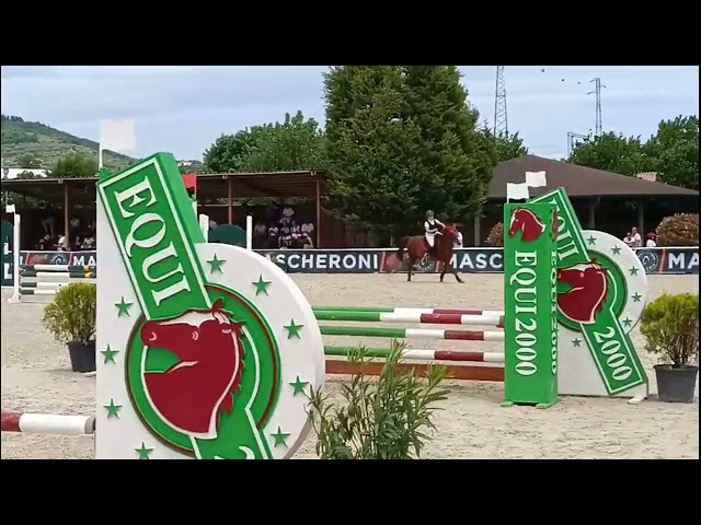 Pony competitiva Salto ostacoli