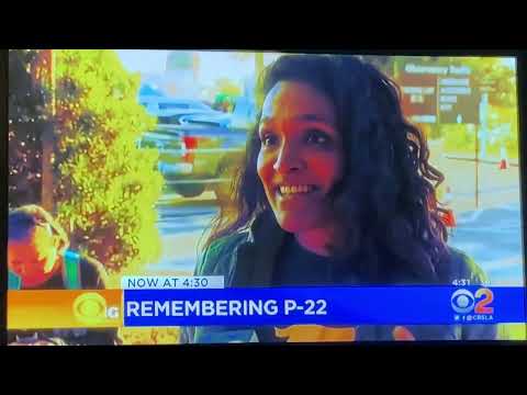 KCBS CBS 2 News this Morning at 4:30am open December 19, 2022