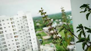 Download lagu Hell or High Water - Passenger mp3 Download lagu Hell or High Water - Passenger mp3