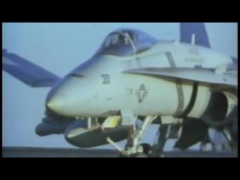 Sea Wings Collection - Hornet The Killer Bee