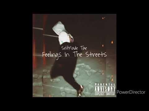 Selfmade Tae - Wild Life