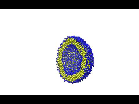 Lipid Dynamics for Langevin thermostat for a Self-Assembled Vesicle Bilayer
