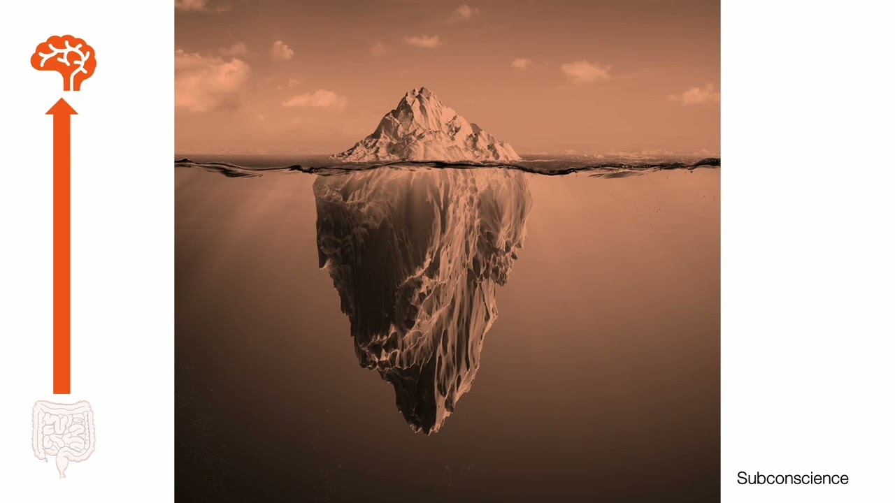 The gut, our second brain - The gut-brain axis