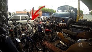 ACHEI A MOBY DO GUI 80 NO PATIO [WEDDOGRAU]