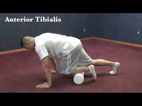 Foam Roll: Shins (Anterior Tibialis)
