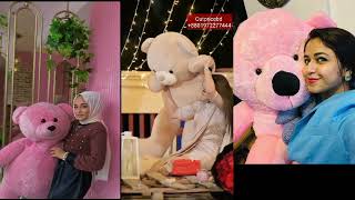 Best Big teddy bear for gift l teddy bear collection l Price in bd