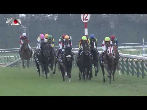 2021 Tenno Sho Autumn International Group 1 2000m