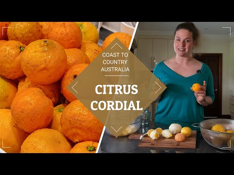 Homemade Cordial with just 2 Ingredients!