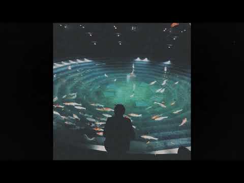 (free) alternative indie rock + grunge type beat ~ "aquarium" (prod. grayskies)
