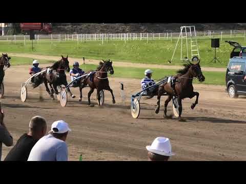 Trka"Dužijanca 2018-II kvalifikacija"29 07 2018 Bronsvlinder (NL)-Josip Gabric ml.