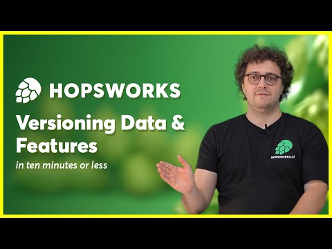 Versioning of Features and Data in Hopsworks