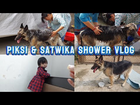 The Secret to a Happy German Shepherd shower and clean | Satwika's Shower & Sleep Vlog