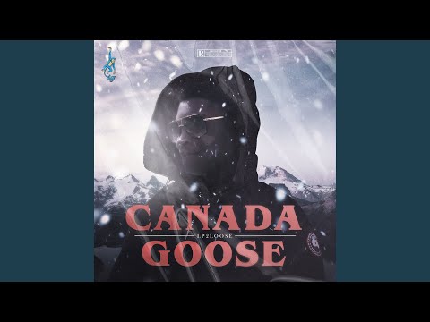 Canada Goose