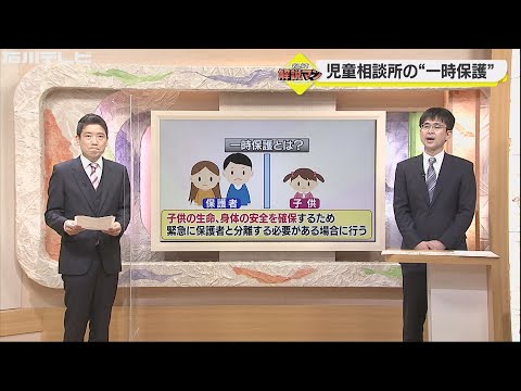 protection bassin de jardin –grillage-métallique-protection-nénuphars