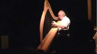 Amazing Celtic Harp performance by Luc Vanlaere