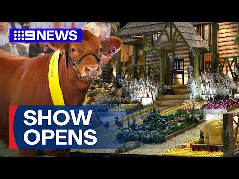 Sydney Royal Easter Show opens its doors for 2024 | 9 News Australia