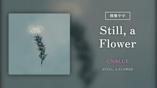 Download lagu 【韓繁中字】CNBLUE┃Still, a Flower mp3