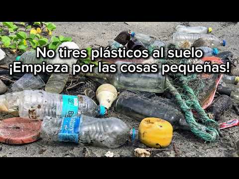 Lo pequeño es GRANDE