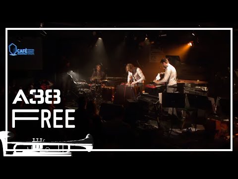 Brandt Brauer Frick Ensemble - Verwahrlosung // Live 2013 // A38 Free