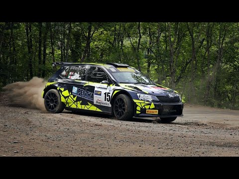 26° Rally del Taro 2019 | CRASH & ACTION [Video Brum Brum]