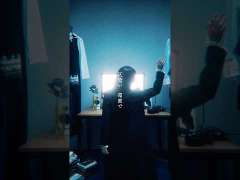 初の実写MV公開しました🎬