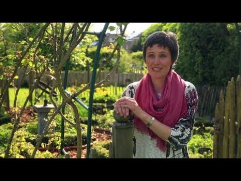 Die andere Eifel - Frühling in der belgischen Eifel | Fahr mal hin | SWR Fernsehen