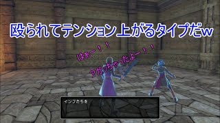 【W実況】殴られてテンション上がるタイプだｗ『ドラゴンクエストⅪ S』16ページ目