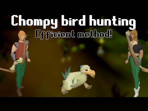 Chompy Bird Hunting Guide - Efficient method | OldSchool Runescape