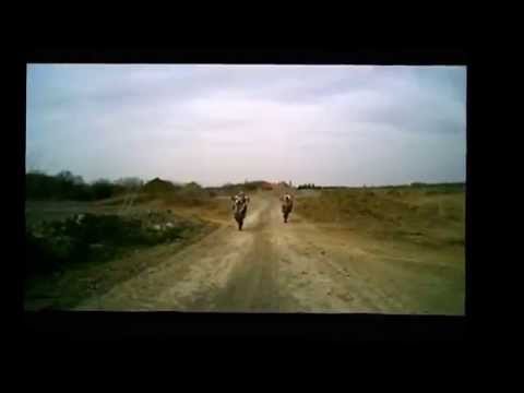 Zoubi Team Têtard En Mode Freestyle