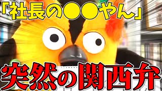 草食男子には厳しいミミズク。中身が知りたいミミズク。【 ゆうせか 切り抜き 有隣堂しか知らない世界 】