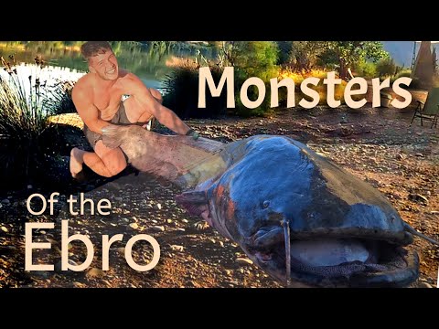 160lb Monster Catfish Caught on Ebro River- EPIC BATTLE!