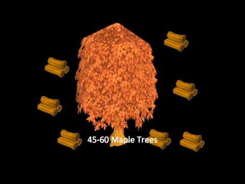 How I got 99 woodcutting