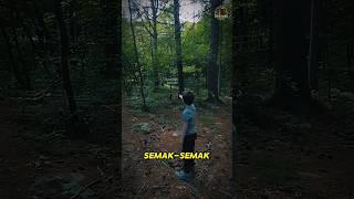 Download lagu Don't Stare at Those Bushes Too Long... mp3