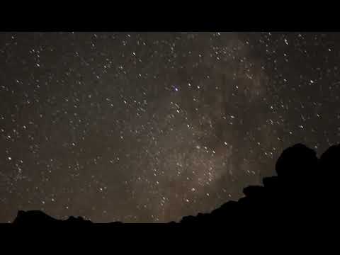 John C. Lilly - ECCO