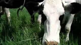 backwoods boy. josh turner