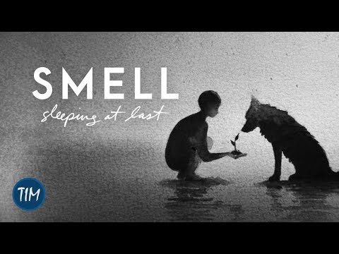 Video thumbnail for Smell