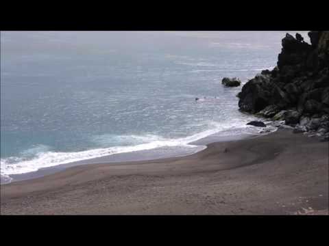 Leila Pinheiro - Uma Voz no Vento