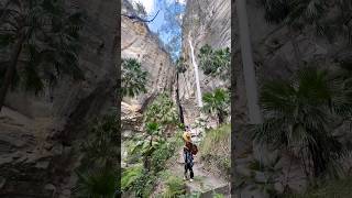 オーストラリア🇦🇺QLD カナーヴォン渓谷！ #オーストラリア旅行 #travel #オーストラリア