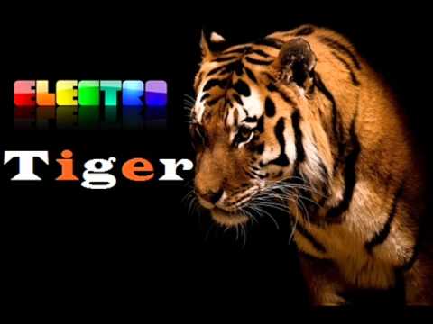 Electro-Tiger (Tupac Ghetto Gospel)