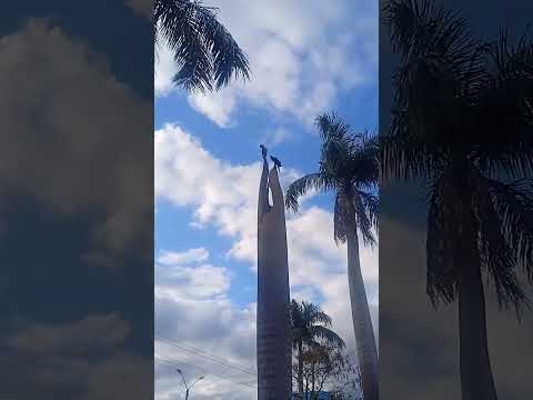 santa helena do Goiás Brasil 😁🍀