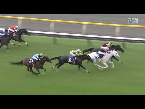 日本維多利亞一哩賽 Victoria Mile 一級賽 G1 1600m 2023-05-14 前人足跡 Songline 東京競馬場 Tokyo Racecourse