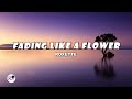 Fading Like A Flower Roxette Lyrics