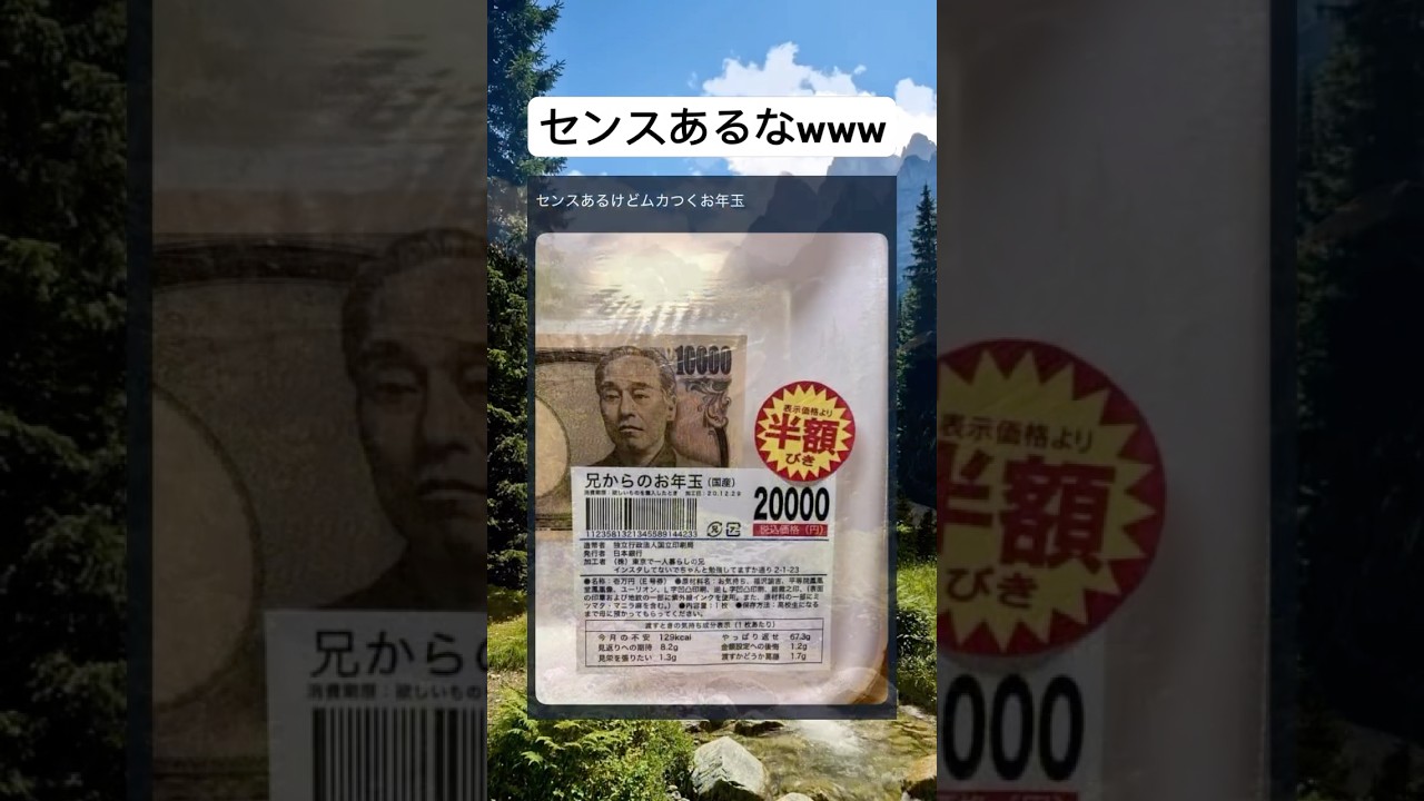 #shorts#お年玉#センス#兄#面白い#笑える