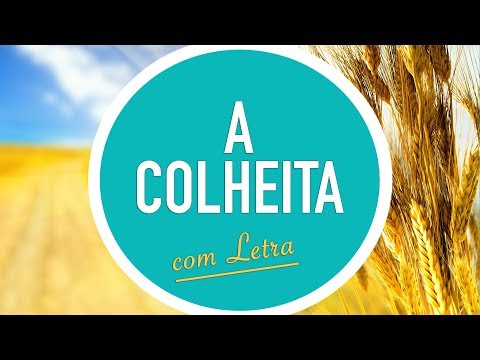 A Colheita video