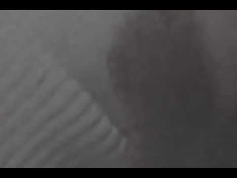 Cor frenna ka family