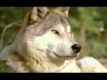 John Denver~~" Yellowstone Coming Home"