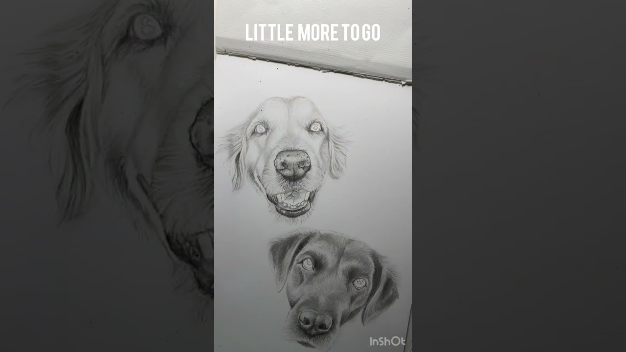 Current work in progress #wip #dog #howtodraw #art #animals #shorts #artist #youtubeshorts