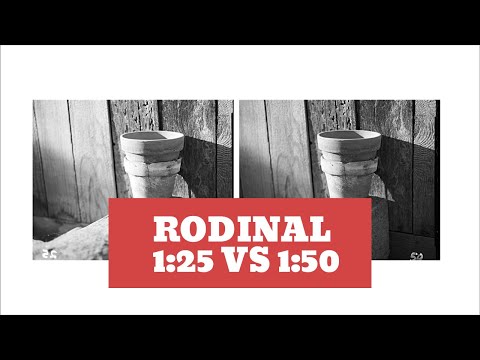 Rodinal 1:25 vs. 1:50